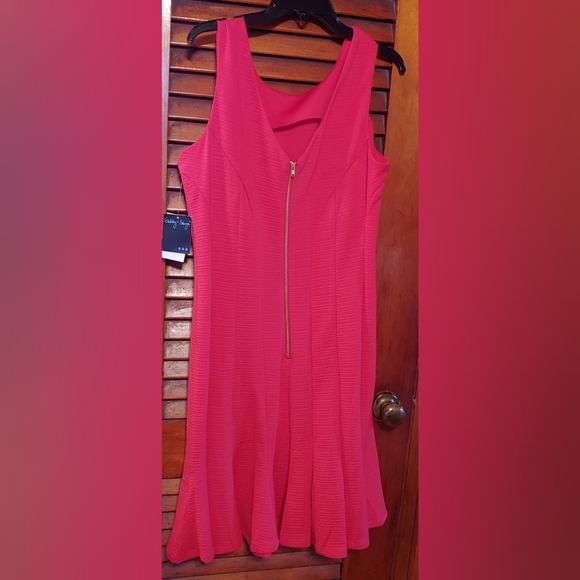 ✨Fabulous!✨Gabby Skye Red Fit-N-Flare Dress 8 NWT - Picture 4 of 5